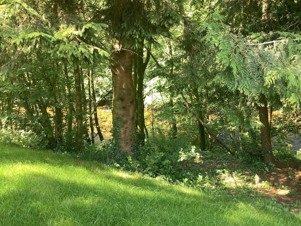 Little London Bed & Breakfast And Glamping Pod Hotel Abercraf Eksteriør billede